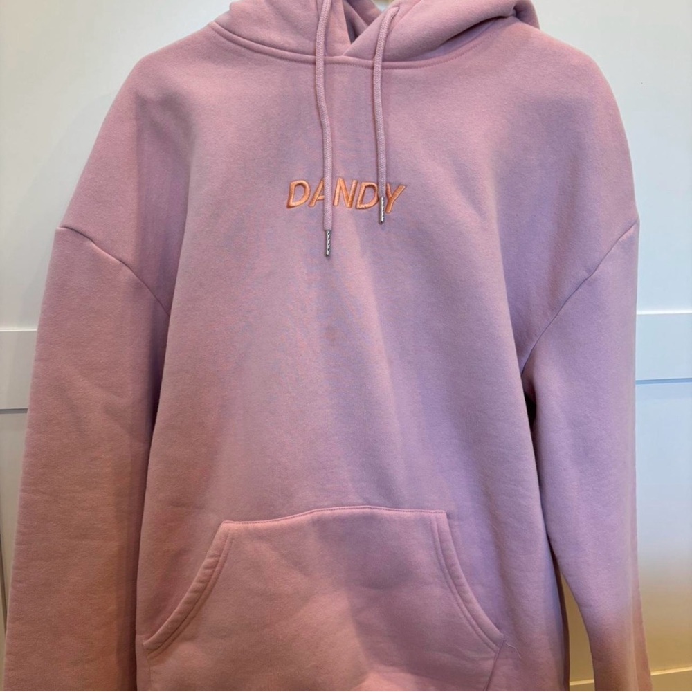 Dandy Worldwide Lets Watch the Sunset Oversized Lux Hoodie Vintage Washed Pink L - Picture 8 of 9